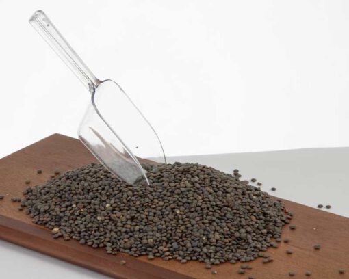 כף תבלינים גדולה