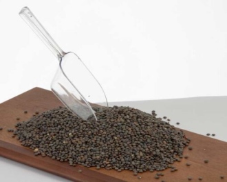 כף תבלינים גדולה