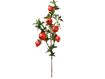 ענף רימונים