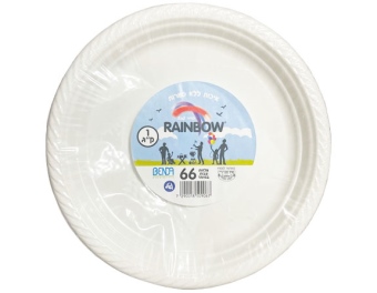 צלחת גדולה לבנה 66 יח