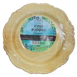 צלחת אקולוגית ענק