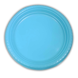 צלחת גדולה טורקיז 20 יח' (1/50)