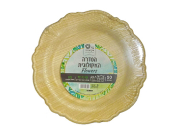 צלחת אקולוגית גדולה