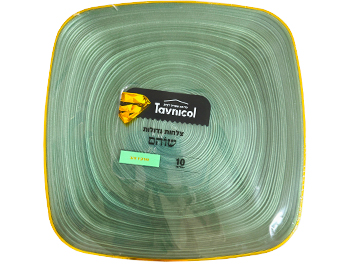 צלחת ירוק גדולה