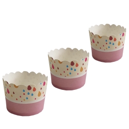 תבנית קרטון מפין 50 יחי' S תבניכל/שמאי (1/20)