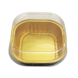 תבנית מרובע עם מכסה שקוף