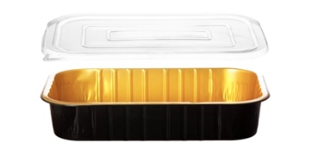 תבנית בינונית